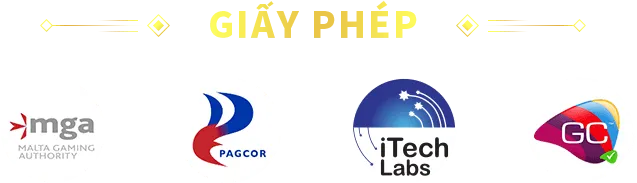 giấy phép dom88