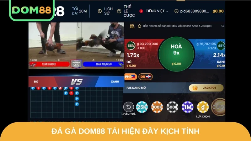 Đá gà DOM88 tái hiện đầy kịch tính
