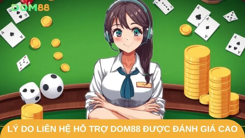 Tại sao liên hệ hỗ trợ tại DOM88 được đánh giá cao
