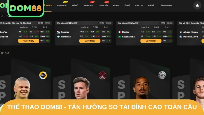 thể thao DOM88