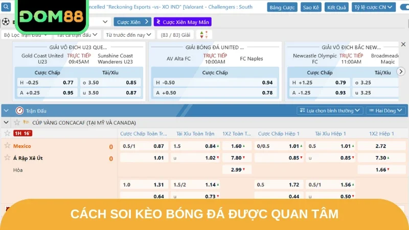Cách soi kèo bóng đá được quan tâm
