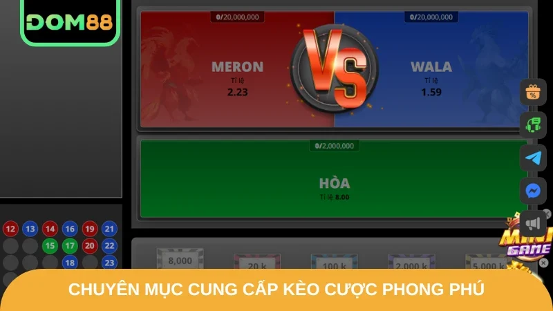 Chuyên mục cung cấp kèo cược phong phú