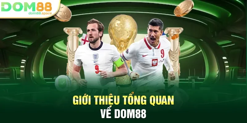 Giới thiệu tổng quan về DOM88